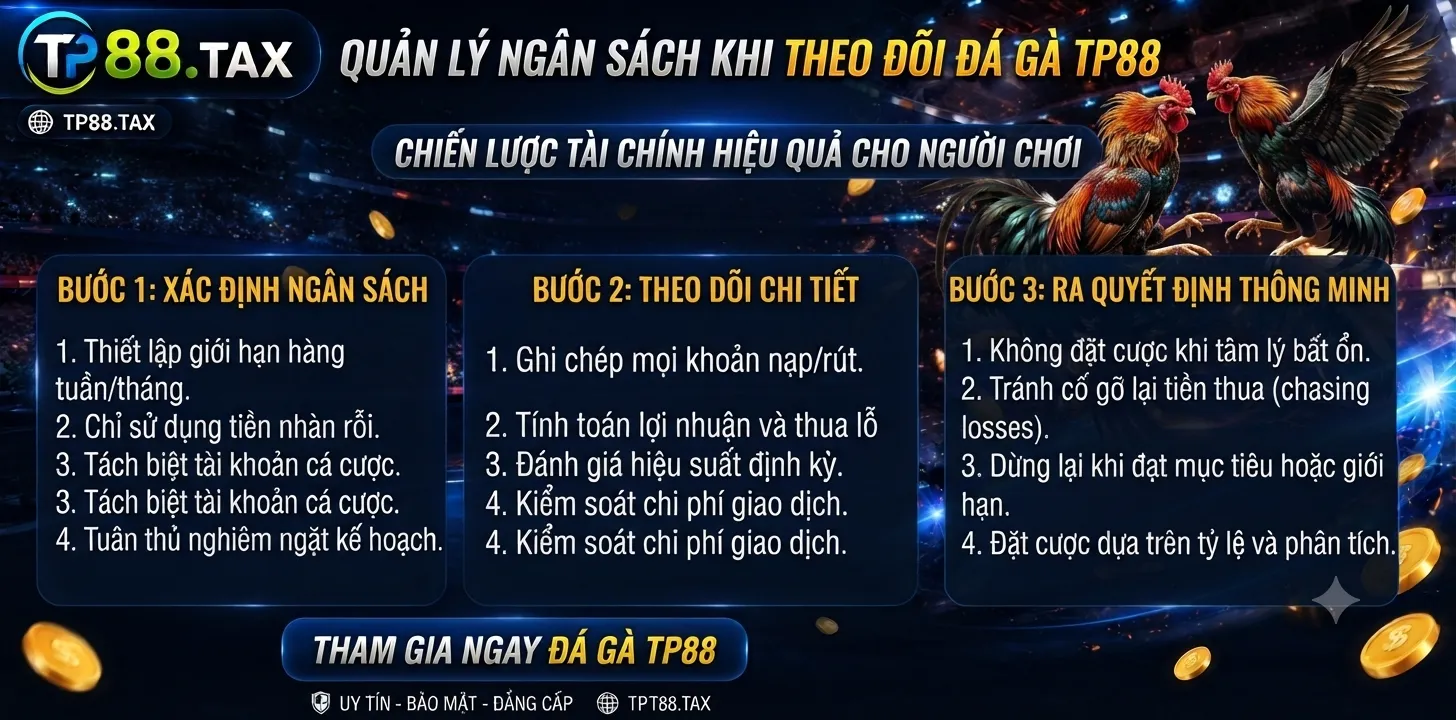 Đá Gà TP88 – Hình Thức, Lịch Trận Và Lưu Ý Khi Theo Dõi 2 Quản lý ngân sách khi theo dõi đá gà TP88